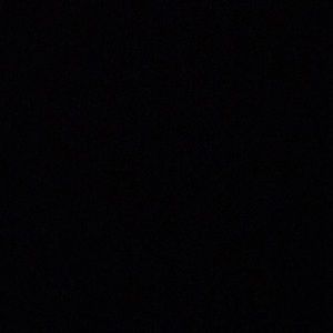 Meet your Posher, George